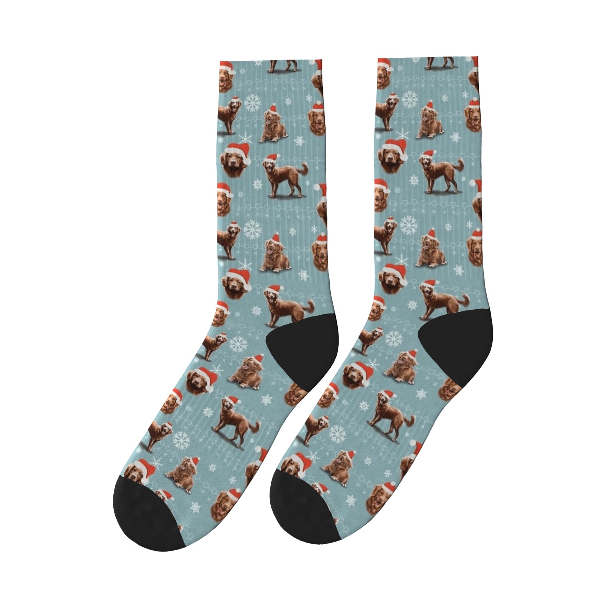 The Christmas Nova Scotia Duck - Men'S Fashion Nova recensie en prijs