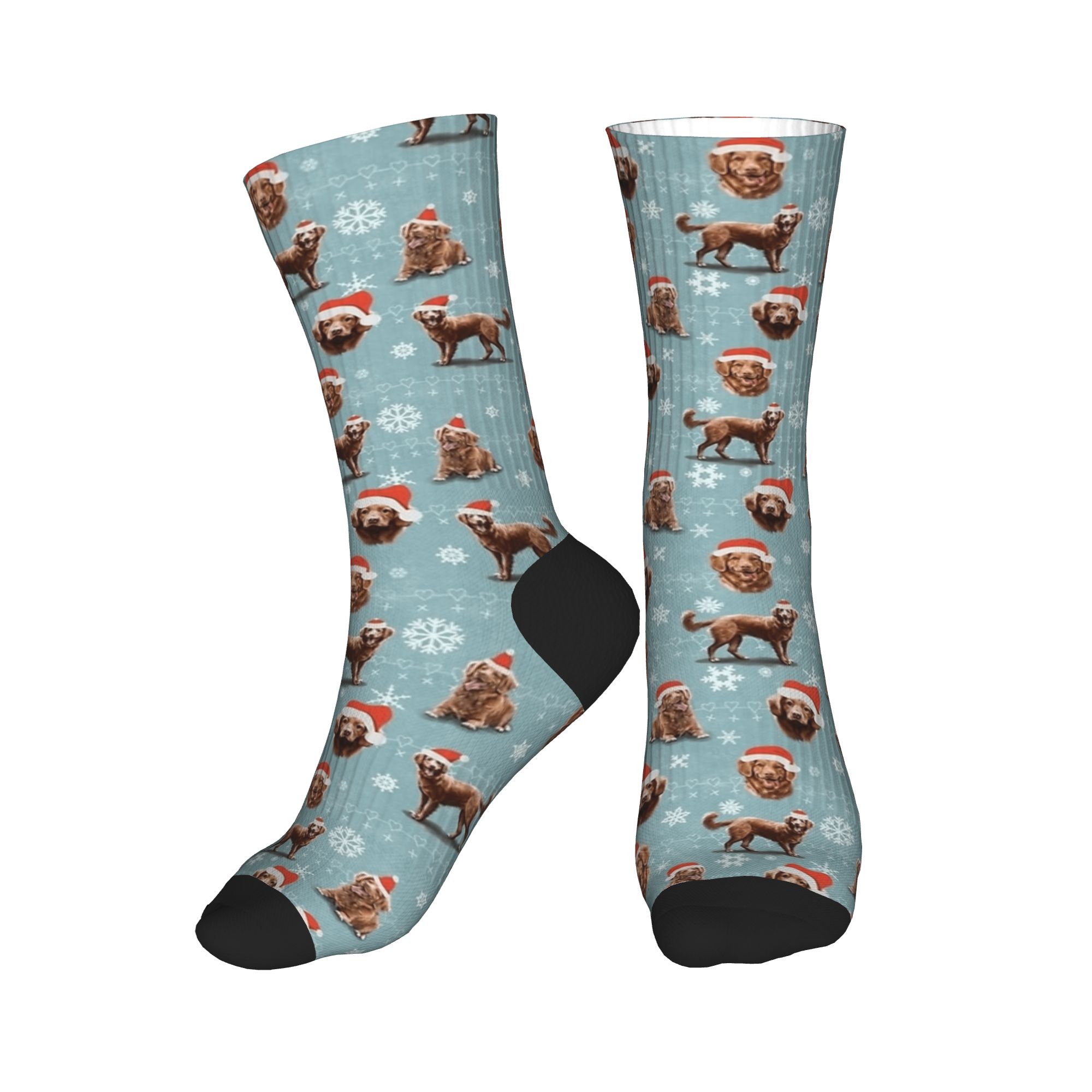The Christmas Nova Scotia Duck - Men'S Fashion Nova recensie en prijs